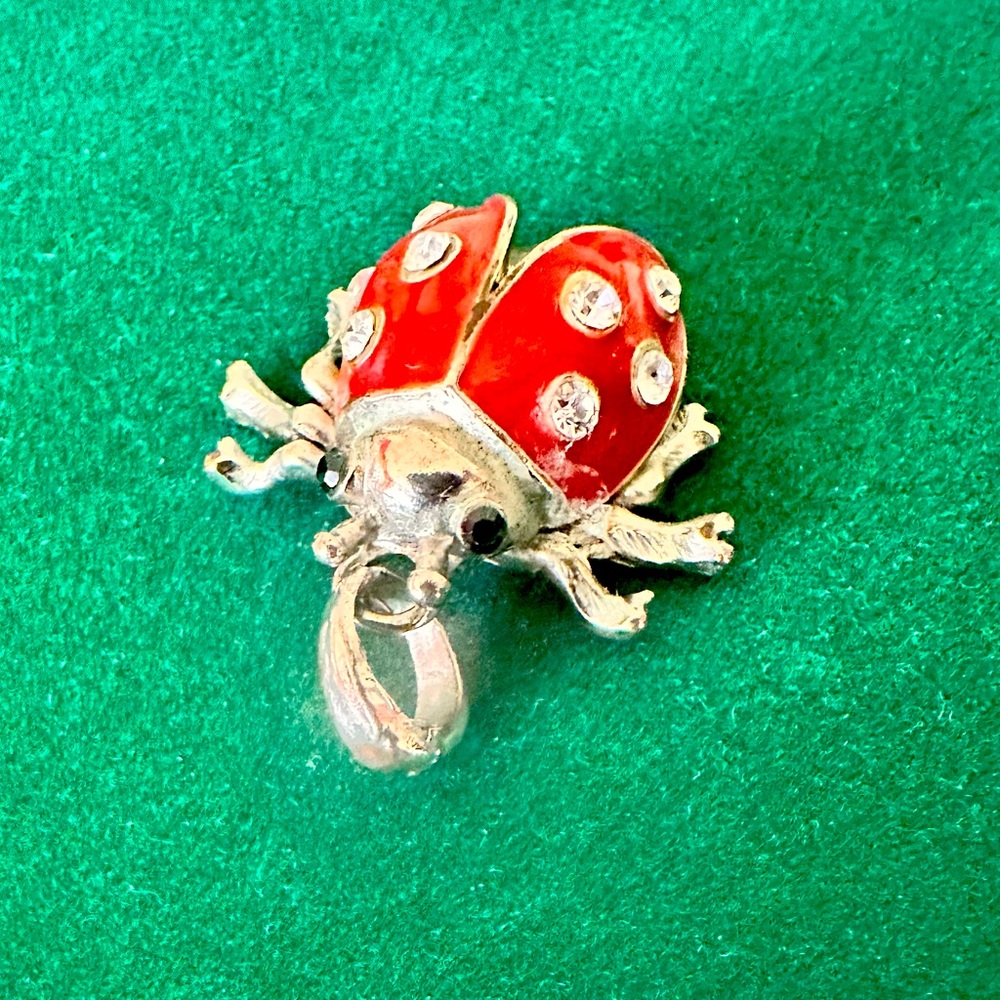 Vintage Ladybug Charm 🐞